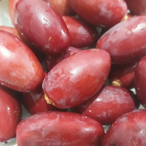 تصویر 4 از قیمت خرید خرما زاهدی خارک با فروش عمده