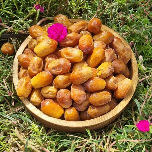 تصویر 1 از قیمت خرما زاهدی پشتکوه + خرید باور نکردنی