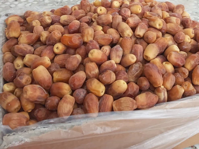 تصویر 4 از قیمت خرما زاهدی پشتکوه + خرید باور نکردنی