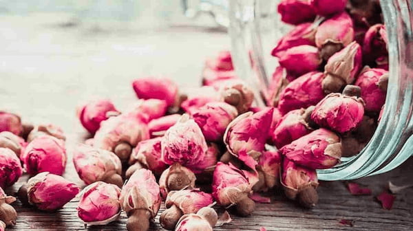 تصویر 1 از فروش غنچه گل محمدی برای تزیین + قیمت خرید به صرفه