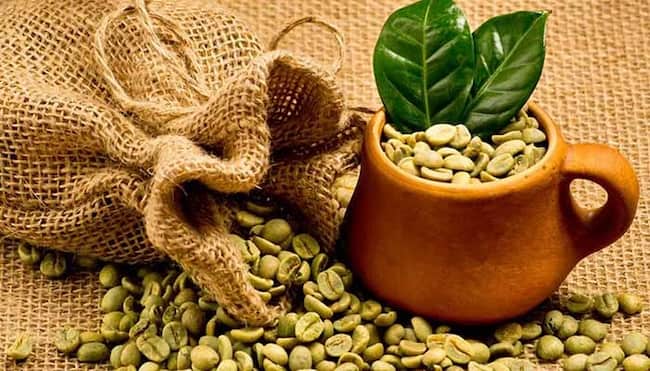 تصویر 1 از خرید قهوه روبوستا سبز + قیمت فروش استثنایی