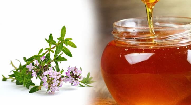 تصویر 2 از قیمت خرید عسل آویشن اصل + فروش عمده