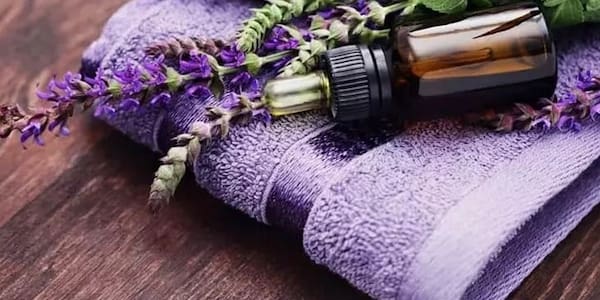 تصویر 5 از قیمت خرید گیاه دارویی اسطوخودوس با فروش عمده