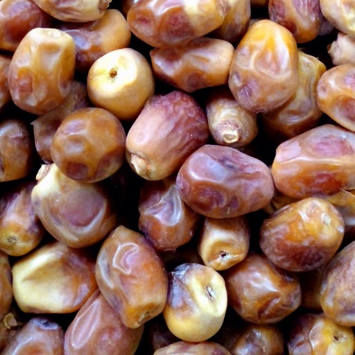 تصویر 4 از خرید و فروش خرما زاهدی تر با شرایط فوق العاده