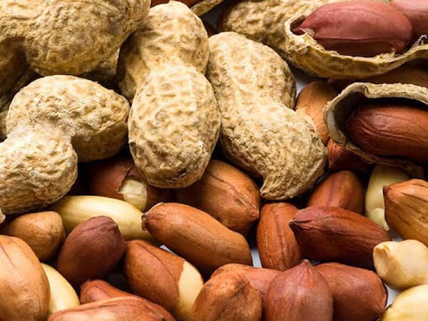 تصویر 4 از خرید و فروش بادام زمینی بو داده با شرایط فوق‌العاده