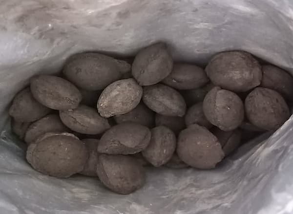 تصویر 1 از قیمت زغال فلافلی خودسوز با خرید باور نکردنی