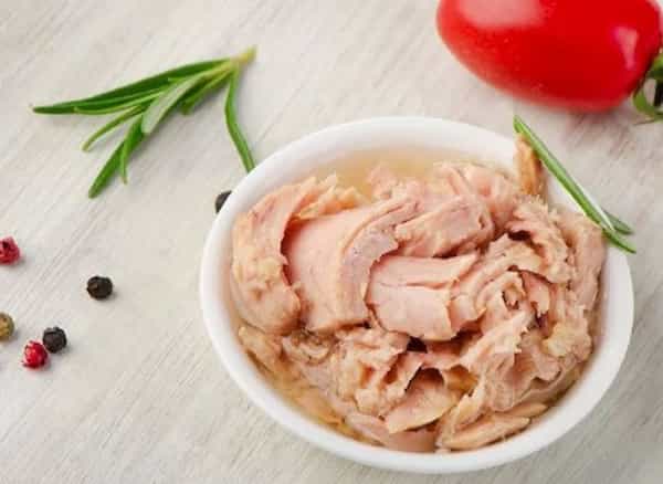 تصویر 3 از فروش ماهی تن هوور گیدر یمت خرید به صرفه
