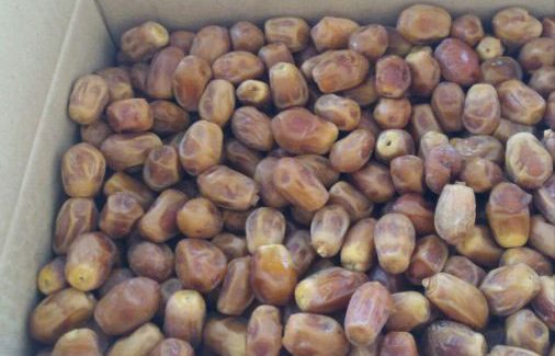 تصویر 4 از قیمت خرما زاهدی بوشهر + خرید باور نکردنی