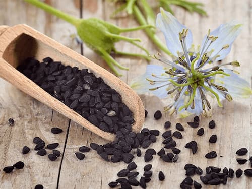 تصویر 5 از خرید سباهدانه + قیمت فروش استثنایی