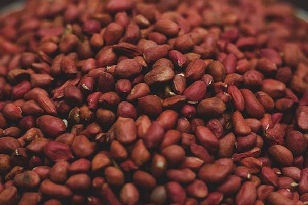 تصویر 2 از قیمت بادام زمینی قرمز + خرید باور نکردنی
