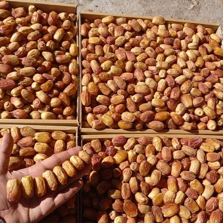 تصویر 2 از قیمت خرما زاهدی شیراز با کیفیت ارزان + خرید عمده