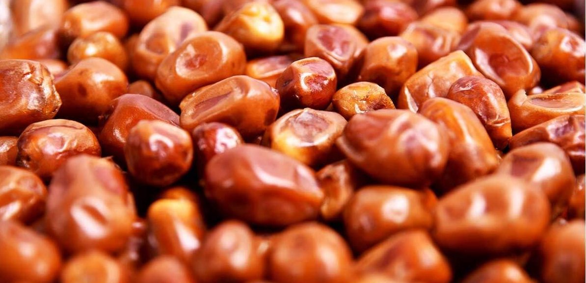 تصویر 1 از قیمت خرما زاهدی شیراز با کیفیت ارزان + خرید عمده