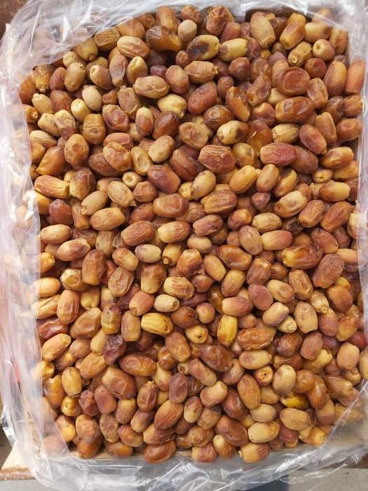 تصویر 3 از قیمت خرما زاهدی شیراز با کیفیت ارزان + خرید عمده