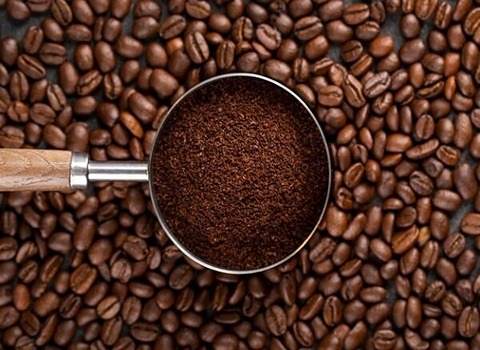 تصویر 1 از قیمت خرید پودر قهوه هسته خرما عمده مدژول عمده به صرفه و ارزان
