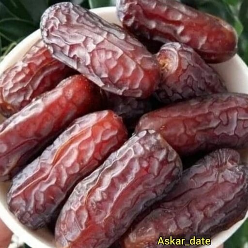 تصویر 5 از خرید و قیمت خرما پیارم حجازی + فروش عمده