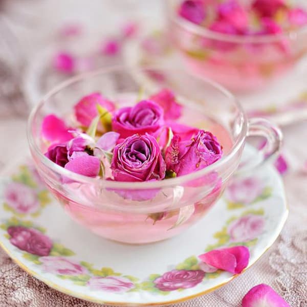 تصویر 3 از قیمت غنچه گل محمدی + خرید باور نکردنی