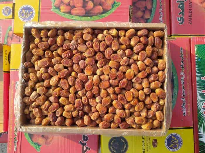 خرما زاهدی ایرانی با رنگ روشن و گوشت سالم