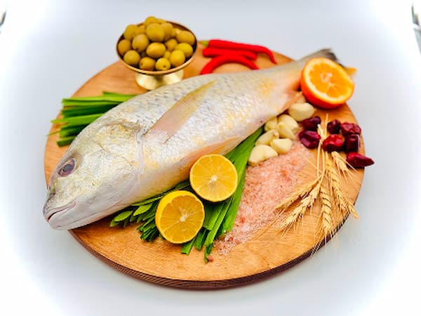 تصویر 4 از خرید و فروش ماهی سنگسر طلایی با شرایط فوق العاده