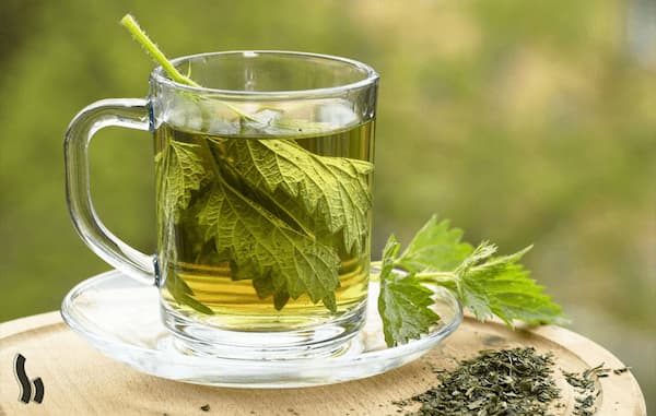تصویر 1 از خرید و فروش دمنوش برگ گزنه با شرایط فوق العاده