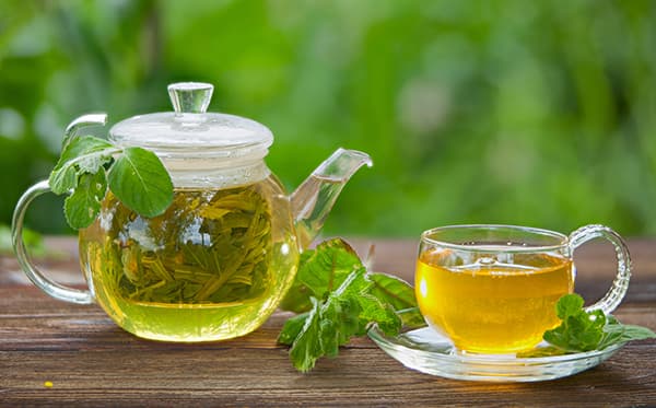 تصویر 4 از قیمت خرید چای سبز کندر با فروش عمده