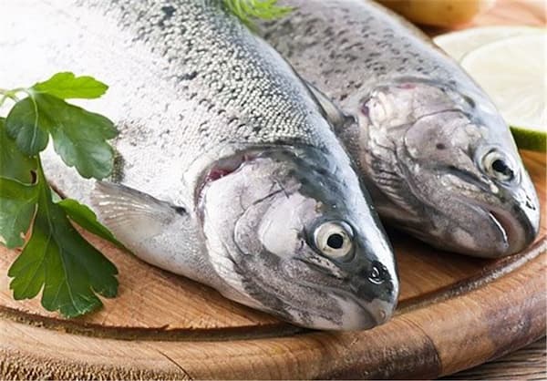تصویر 3 از خرید ماهی حلوا سیاه + قیمت فروش استثنایی