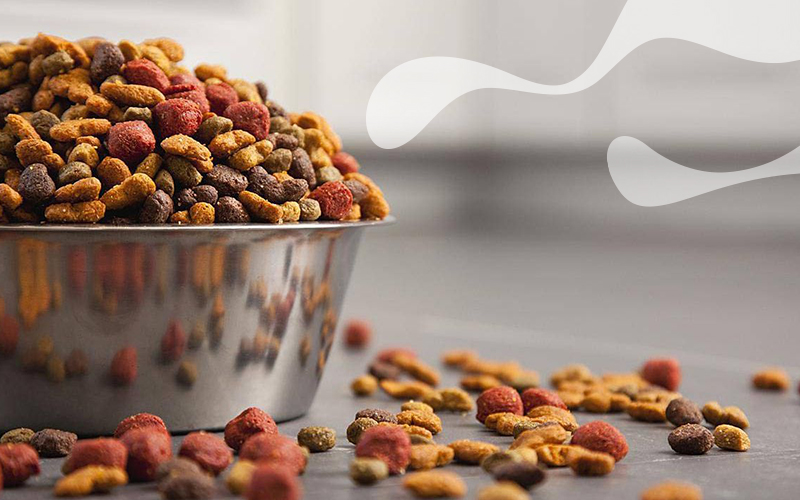 تصویر 4 از قیمت غذای خشک سگ نژاد کوچک با کیفیت ارزان + خرید عمده