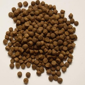 تصویر 1 از قیمت خرید غذای خشک سگ بالغ نژاد کوچک + فروش ویژه
