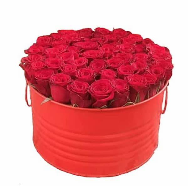 تصویر 5 از قیمت سطل گل فلزی + خرید باور نکردنی