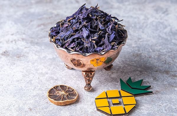 تصویر 3 از خرید و قیمت گل گاو زبان تازه + فروش عمده