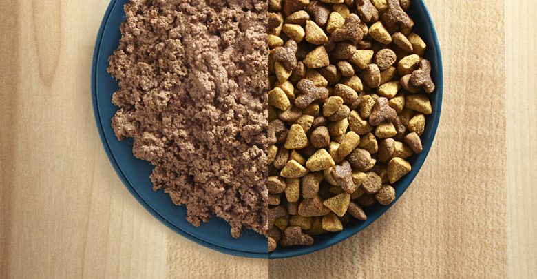 تصویر 2 از فروش غذای سگ خانگی + قیمت خرید به صرفه