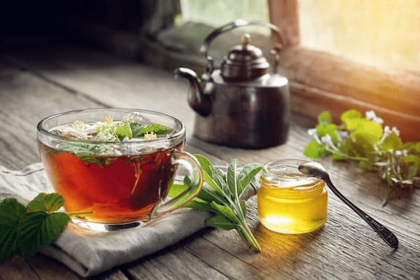 تصویر 1 از قیمت خرید دمنوش مریم گلی تازه + فروش ویژه + فروش ویژه