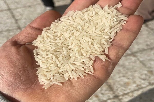 تصویر 2 از خرید و قیمت برنج عنبربو خوزستان + فروش عمده