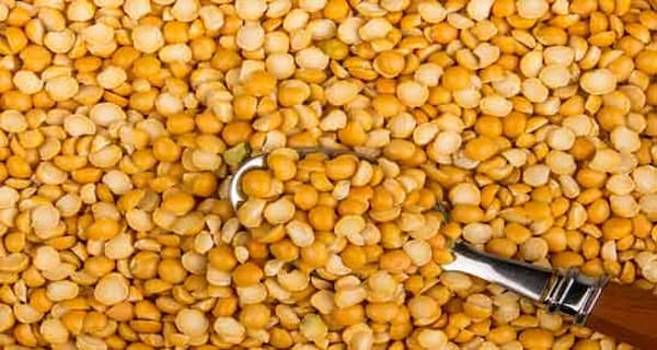 تصویر 5 از خرید لپه نخود ساشا + قیمت فروش استثنایی