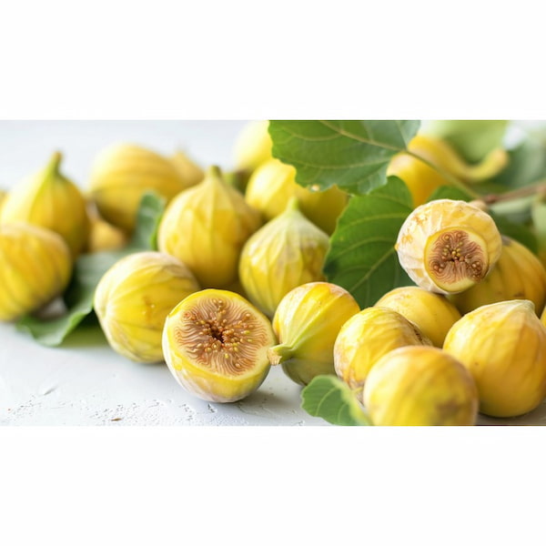 تصویر 2 از راهنمای خرید مربا انجير زرد + قیمت عالی