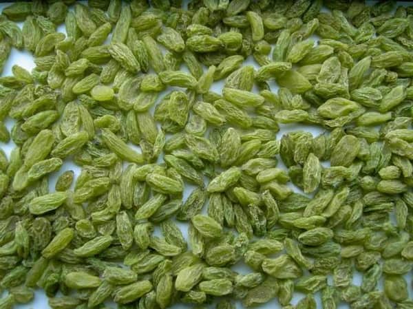 تصویر 5 از قیمت کشمش سبز فله با فروش عمده