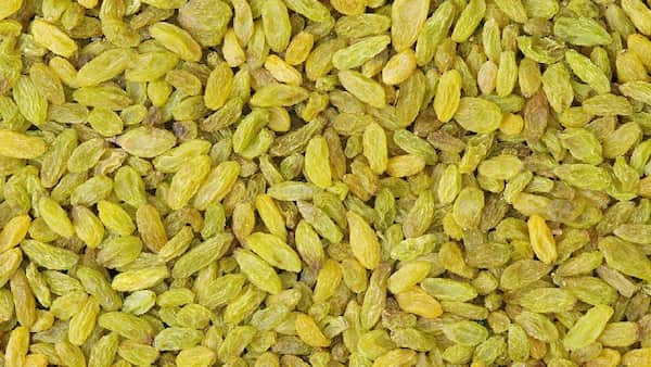 تصویر 2 از قیمت کشمش سبز فله با فروش عمده