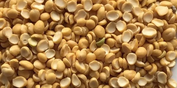 تصویر 3 از خرید لپه طبیعت + قیمت فروش استثنایی