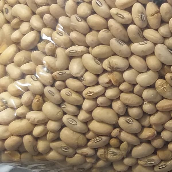 تصویر 3 از قیمت روز اجیل سویا لیمویی