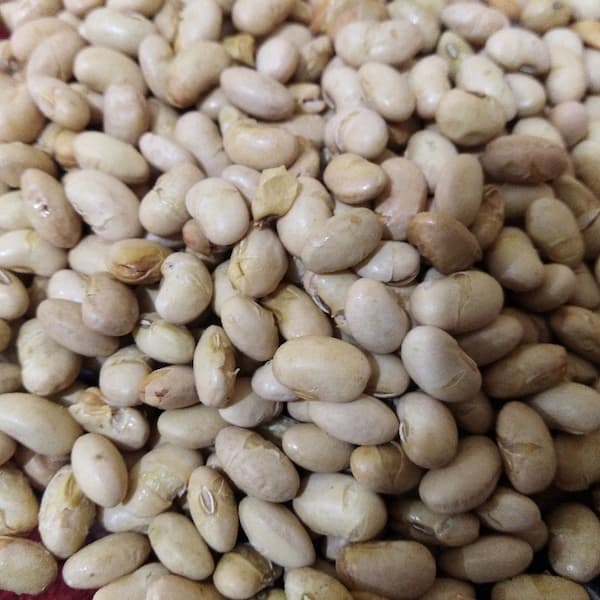 تصویر 2 از قیمت روز اجیل سویا لیمویی
