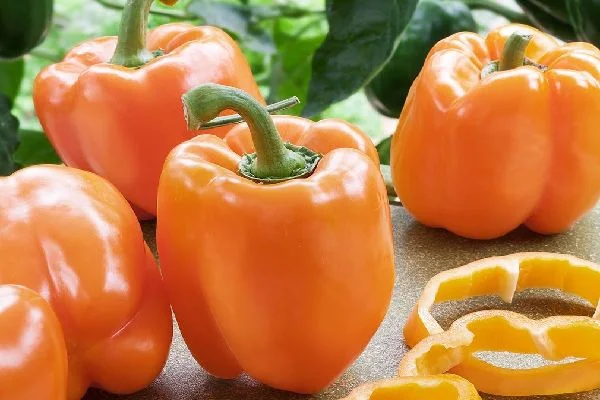 تصویر 5 از قیمت و خرید فلفل دلمه نارنجی + فروش ارزان