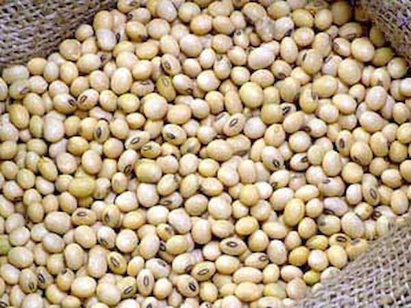 تصویر 4 از قیمت خرید شیرینی نخود چی تازه + فروش ویژه