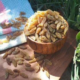 تصویر 4 از قیمت خرید کشمش سبز اعلا + فروش ویژه