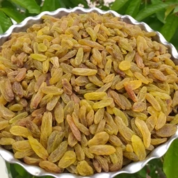 تصویر 1 از قیمت خرید کشمش سبز اعلا + فروش ویژه