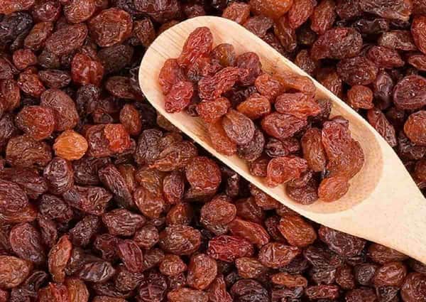 تصویر 3 از خرید و فروش کشمش بی دانه تاکستان با شرایط فوق العاده