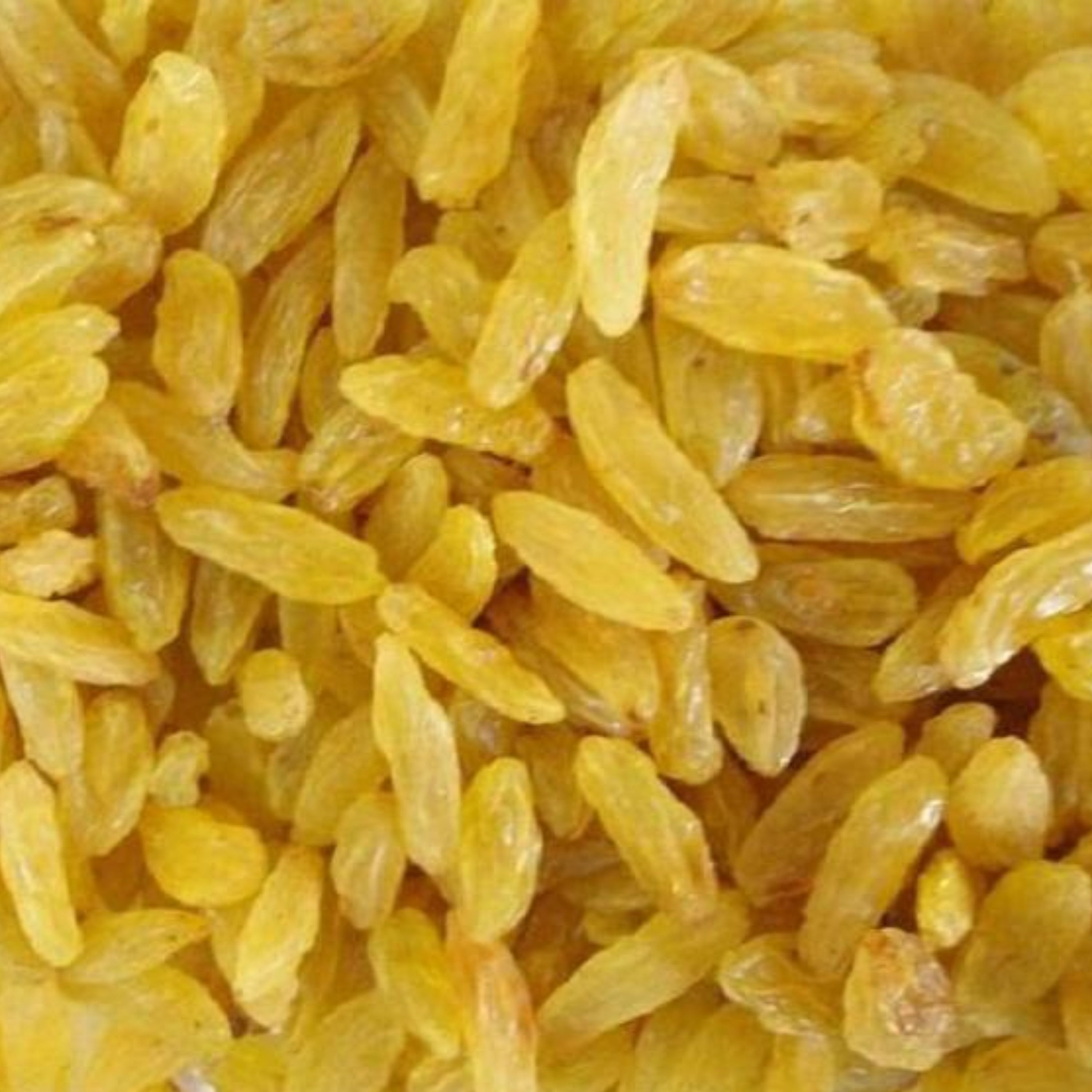 تصویر 3 از خرید کشمش گلدن صادراتی + قیمت فروش استثنایی