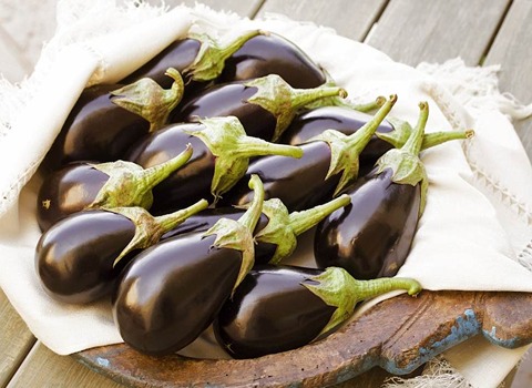 تصویر 4 از فروش بادمجان محلی جهرم + قیمت خرید به صرفه