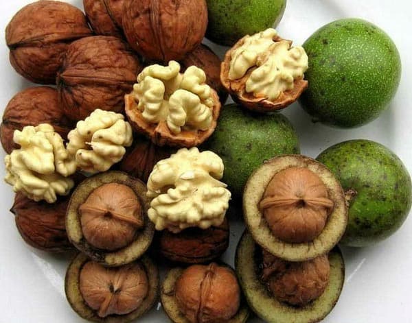 تصویر 3 از قیمت خرید مغر گردوی تازه + فروش ویژه
