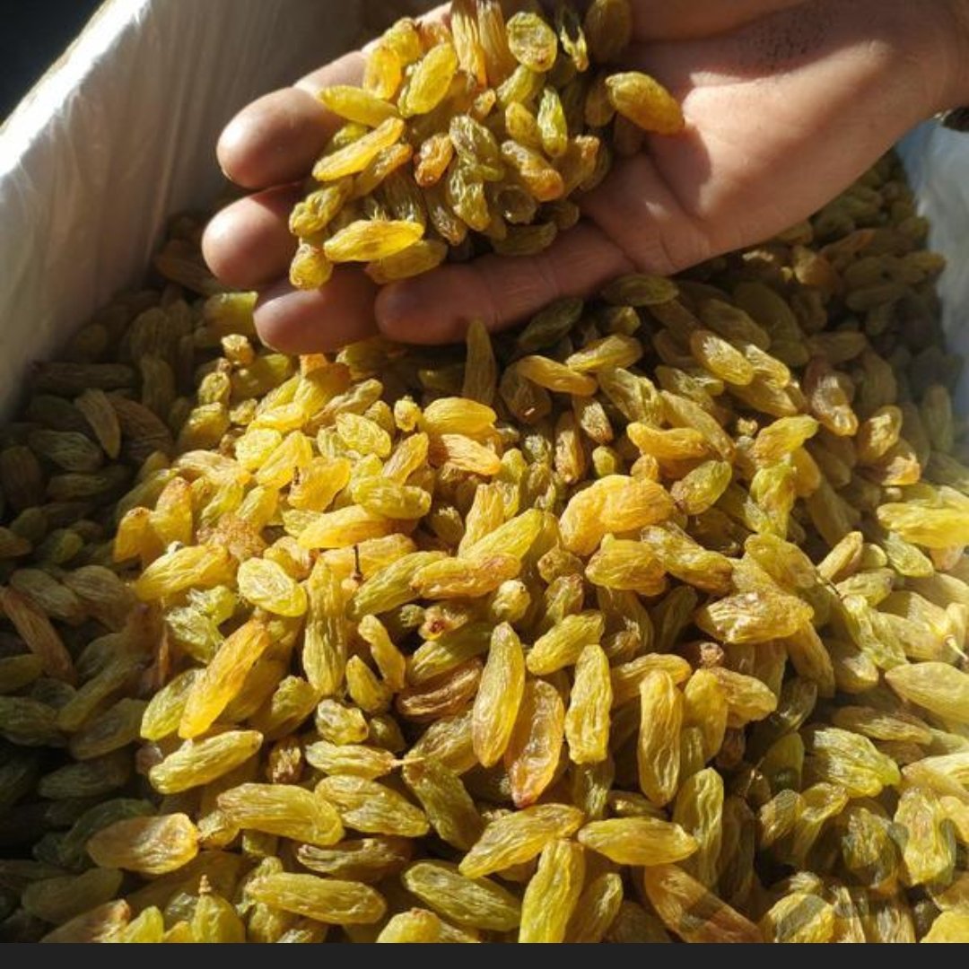 تصویر 3 از خرید کشمش سبز قلمی خلیل آباد + قیمت فروش استثنایی