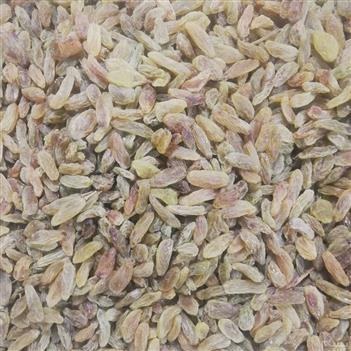تصویر 4 از خرید کشمش سبز قلمی خلیل آباد + قیمت فروش استثنایی