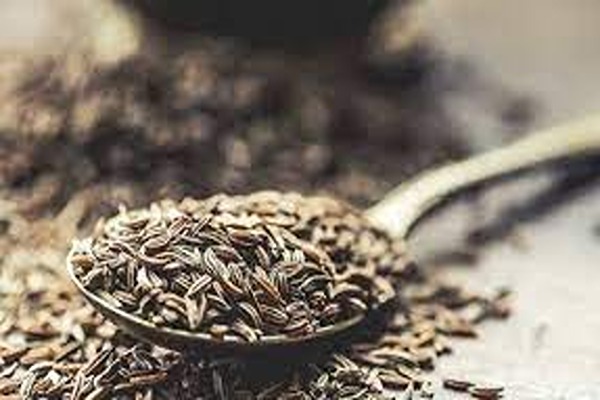 تصویر 3 از قیمت زیره سیاه کیلویی + خرید باور نکردنی